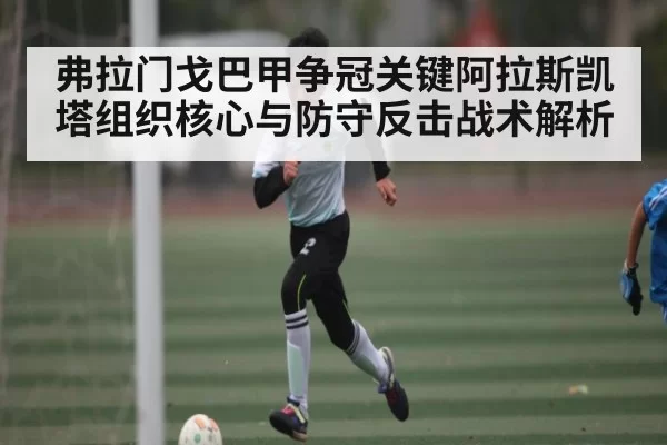 弗拉门戈巴甲争冠关键阿拉斯凯塔组织核心与防守反击战术解析